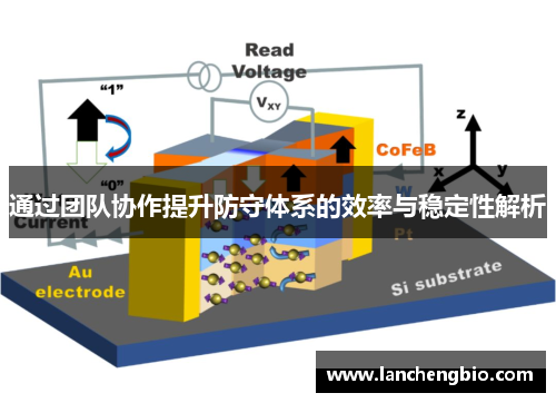 通过团队协作提升防守体系的效率与稳定性解析