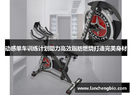 动感单车训练计划助力高效脂肪燃烧打造完美身材