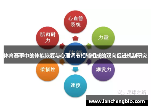 体育赛事中的体能恢复与心理调节相辅相成的双向促进机制研究
